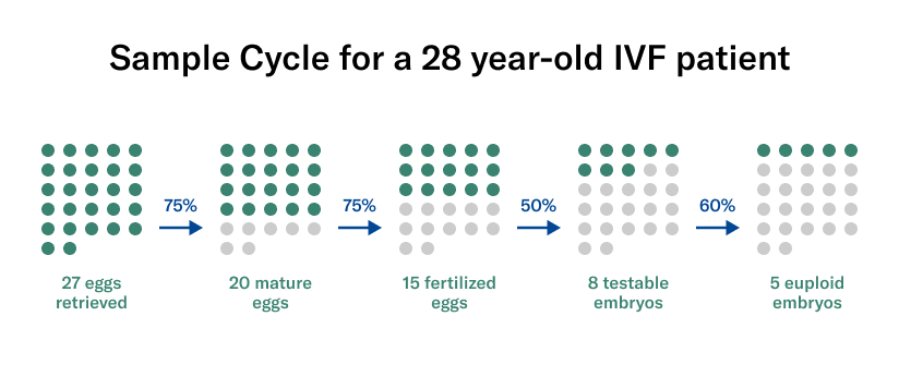 sample cycle